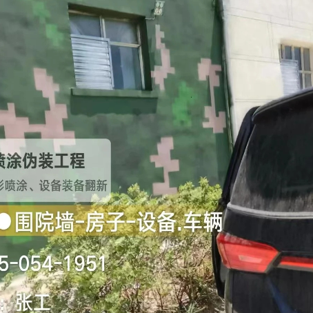 赣州数码迷彩漆施工